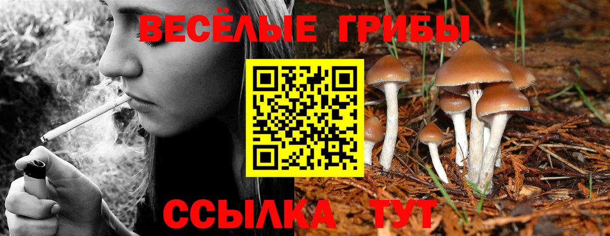 Псилоцибиновые грибы прущие грибы  Вход с VPN  наркошоп  Новосибирск 
